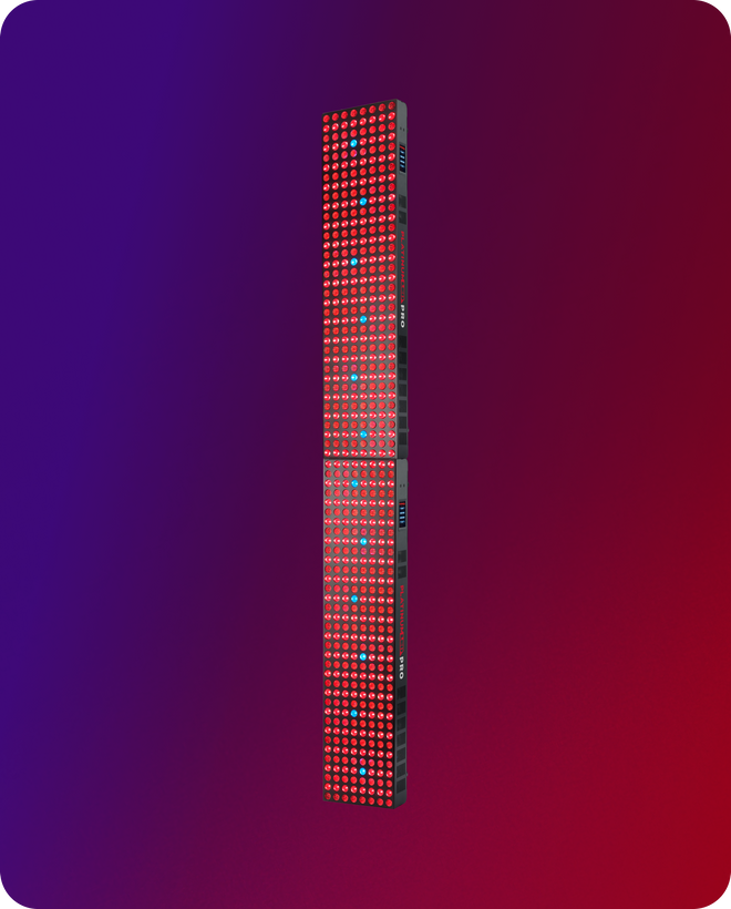 BIOMAX-PRO-GRANDE-+-GRANDE_1