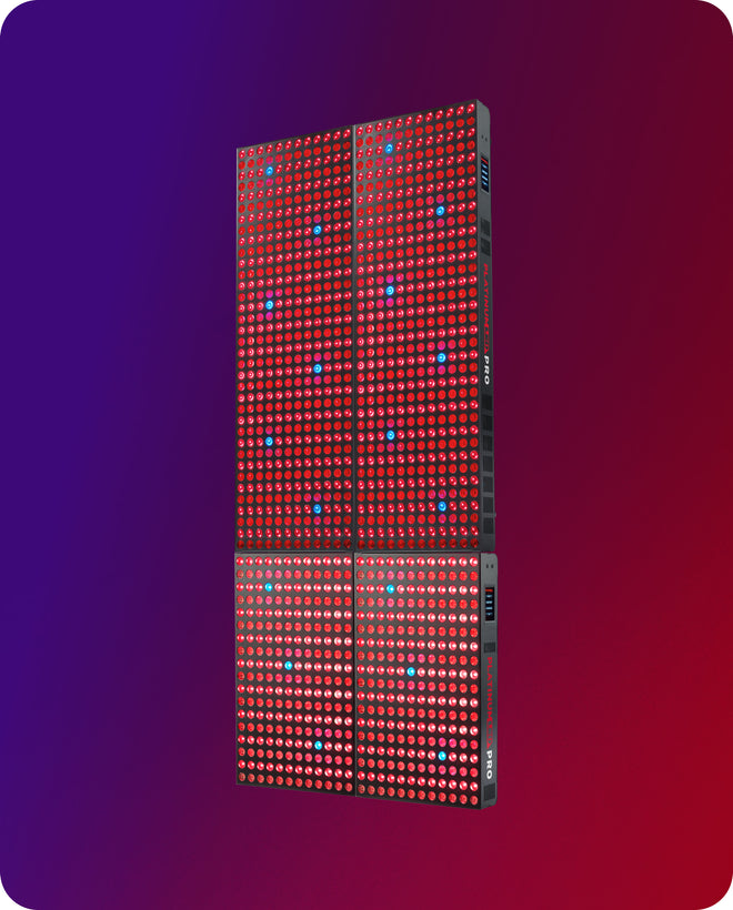 2x-biomax-pro-midi-+-ultra_1