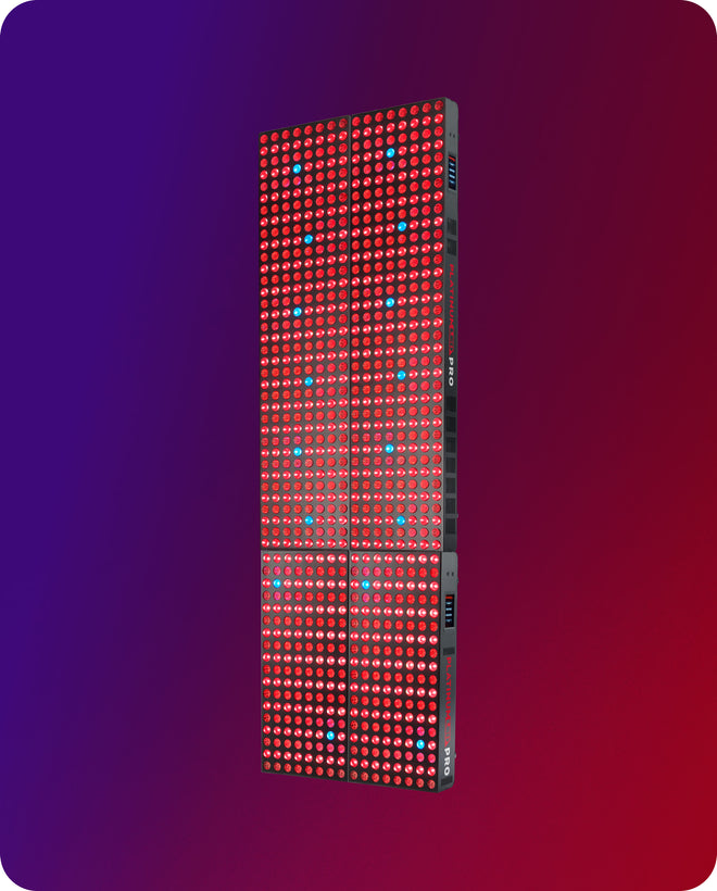 2X_biomax_pro_nano_+_grande