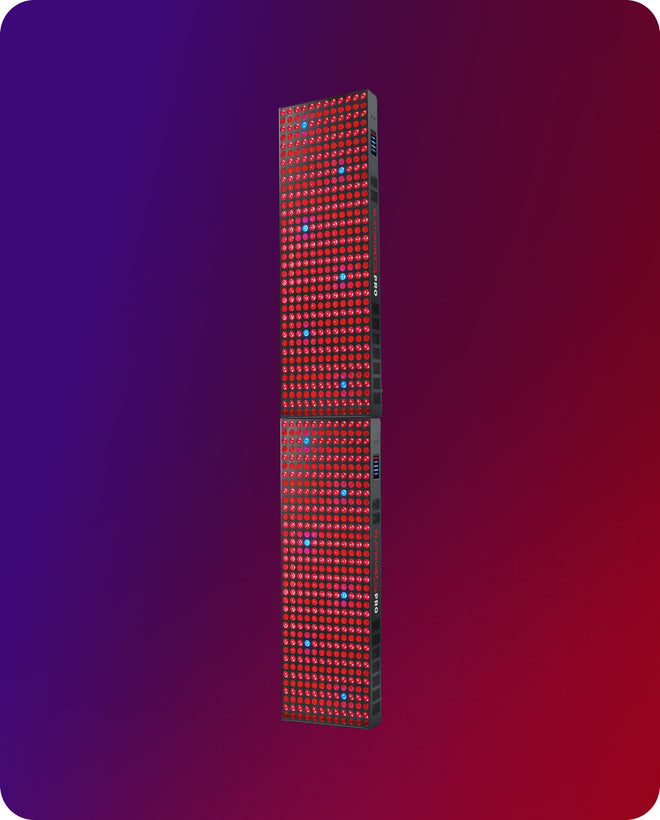biomax-pro-ultra-+-ultra_1