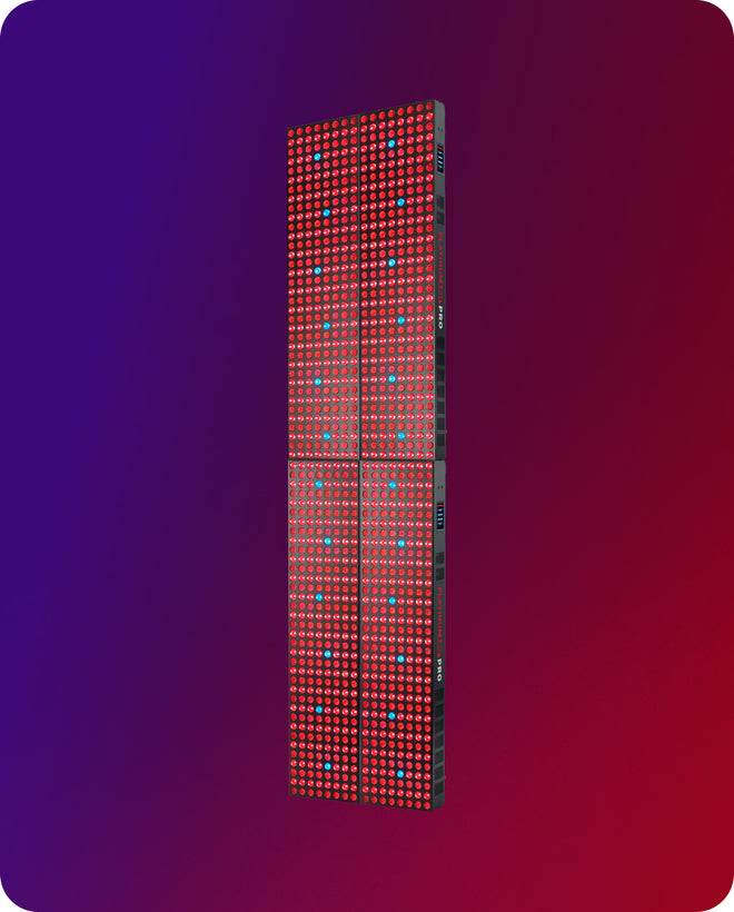 2x_biomax_pro_grande_+_grande_1