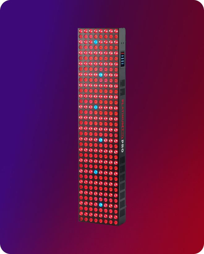 biomax-pro-grande_1