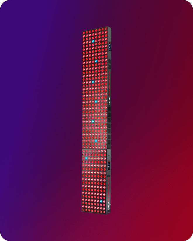 BIOMAX-PRO-NANO-+-GRANDE_1